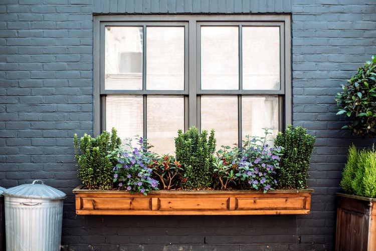 How to Choose the Best Window Style for Your Home